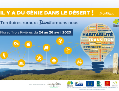 Il y a du génie dans le désert ! #2